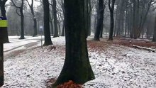 20190202 More Snow
