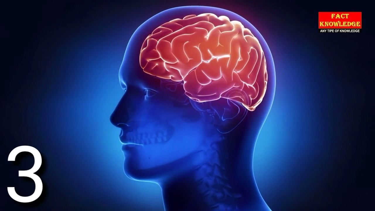 20 Most Amazing Facts About Human Brain | मस्तिष्कका  20 अद्भुत तथ्यहरू | Fact Knowledge नेपाली