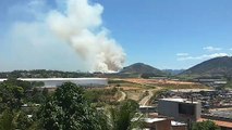 Incêndio em vegetação em Viana