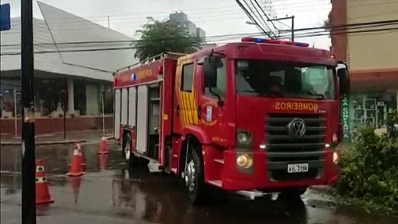 Árvore cai e bloqueia Rua São Paulo, no Centro