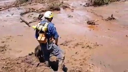 Bombeiro e cao em busca de vitimas em brumadinho.verdadeiros herois