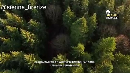 Jangan Sedih Atau Merasa Sendiri - Ustadz Hanan Attaki, Lc