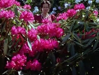 Sherlock Holmes Season 5 Episode 2 - The Problem of Thor Bridge