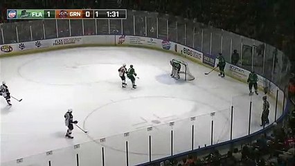 ECHL Florida Everblades 4 at Greenville Swamp Rabbits 0