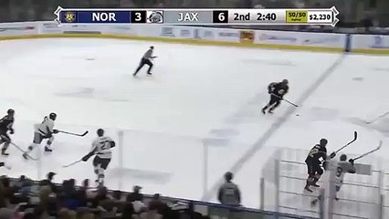 ECHL Norfolk Admirals 5 at Jacksonville Icemen 6