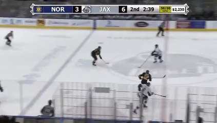 ECHL Norfolk Admirals 5 at Jacksonville Icemen 6