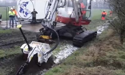 Cegah Demam Babi Afrika, Denmark Bangun Pagar Pembatas