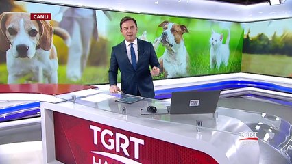 "Pet Shoplar Kedi Köpek Satmayacak"