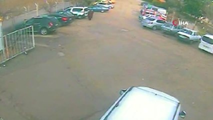 Çocuğuna Simit Veren Kadının Parasını Çaldı...hırsızlık Anları Kamerada