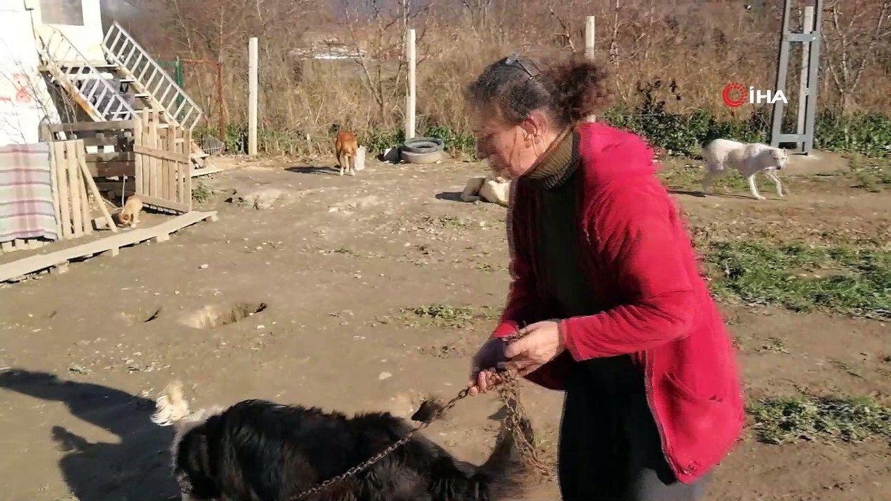Doğuştan iki gözü olmayan köpeğe bebeği gibi bakıyor