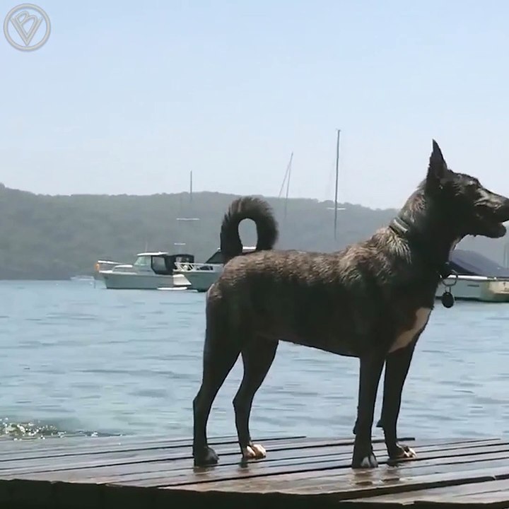 Высокое давление