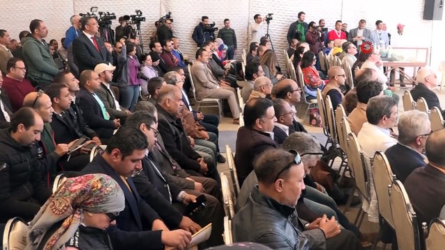 - Mısır'da 40 Mumya Bulundu