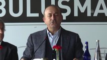 Çavuşoğlu: 