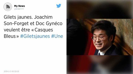 Gilets jaunes. Joachim Son-Forget et Doc Gynéco veulent être « Casques Bleus »