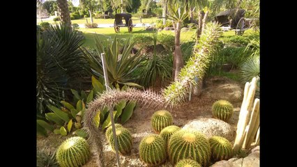 jardin thunder castle