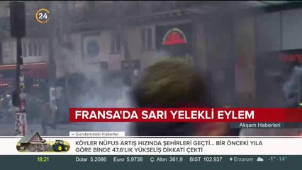 Fransa'da sarı yelekli eylem