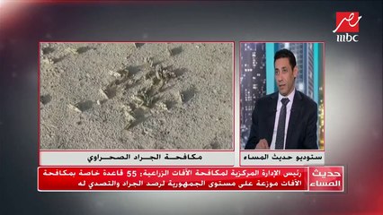 رئيس الإدارة المركزية لمكافحة الآفات الزراعية : لجان مكافحة الجراد منتشرة على الحدود لمواجهته فور ظهوره