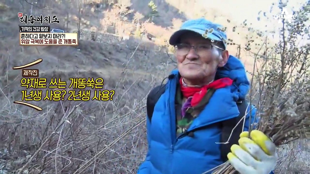 위암을 이겨낸 두번째 약초 개똥쑥