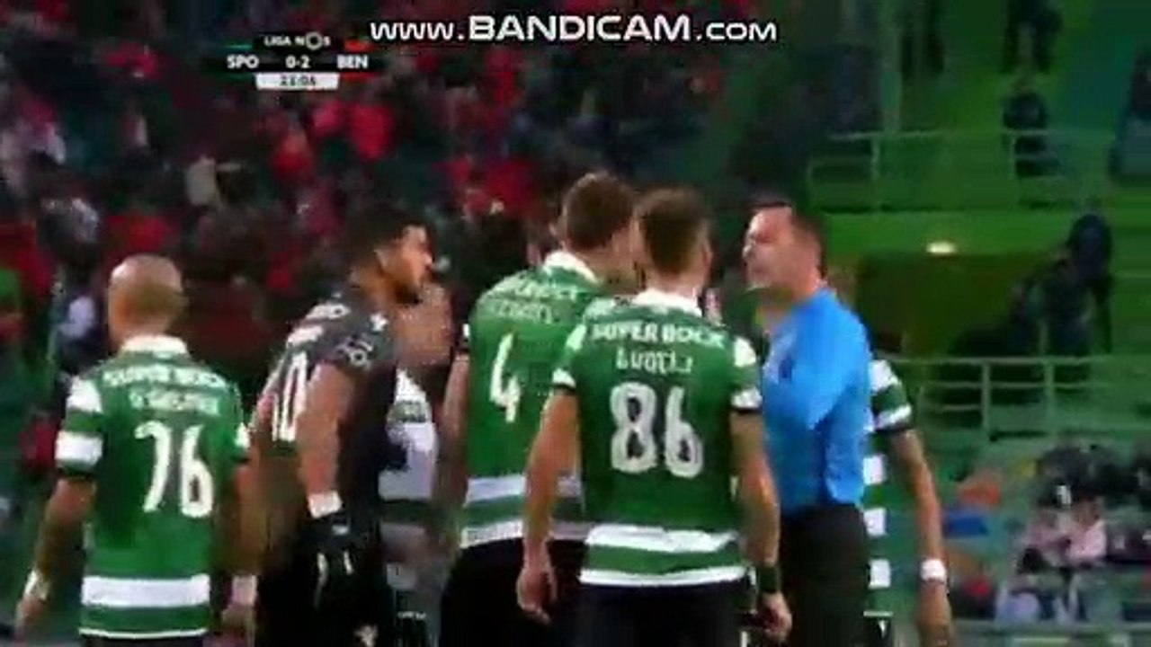 video-1549216724