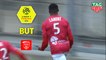 But Loïck LANDRE (2ème) / Nîmes Olympique - Montpellier Hérault SC - (1-1) - (NIMES-MHSC) / 2018-19