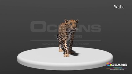 Leopard Animation - Oceans Technologies