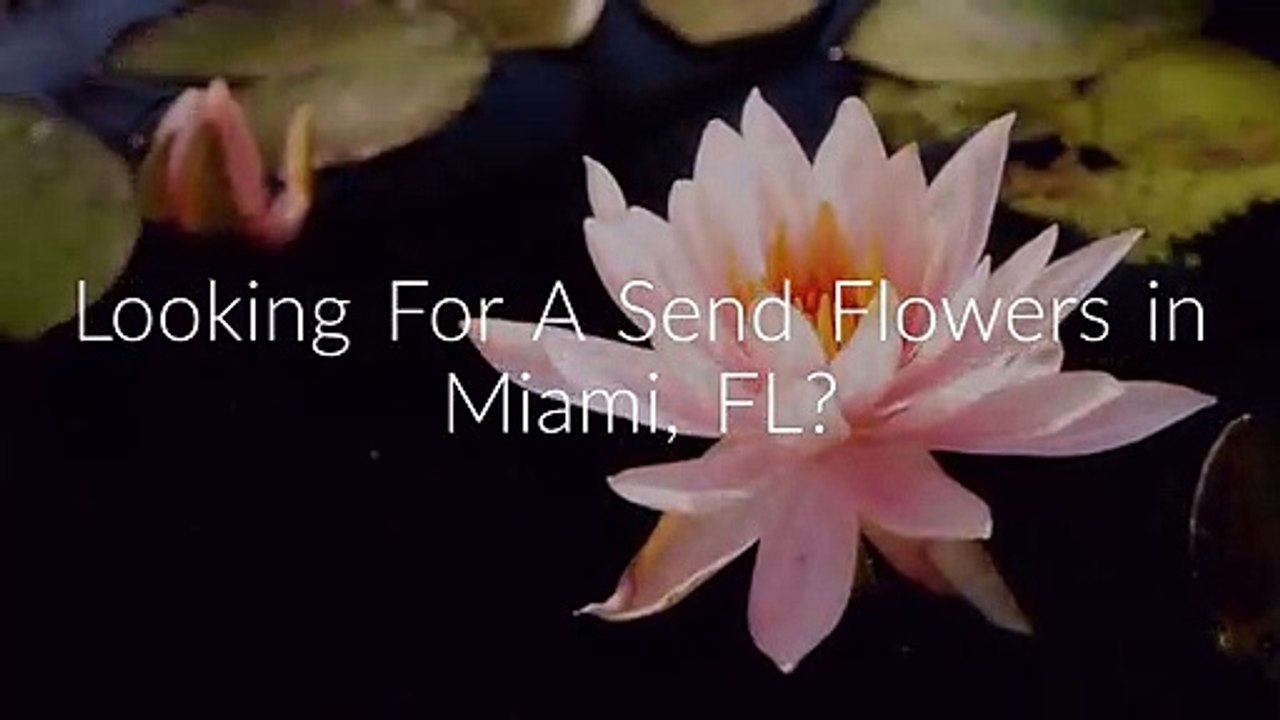 Affordable Same Day Send Flowers in Miami, FL
