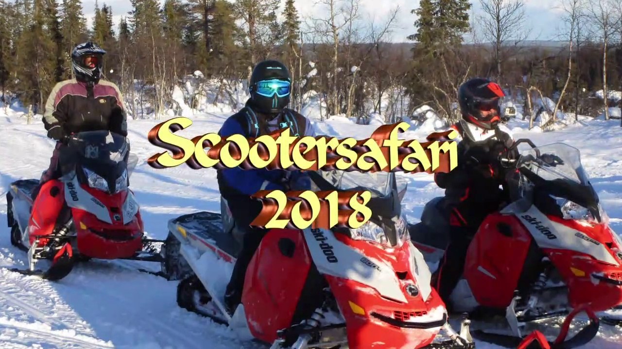 SKI-DOO 2018 HD720, Scootersafari Skogshotell, Lappland, best fun ever