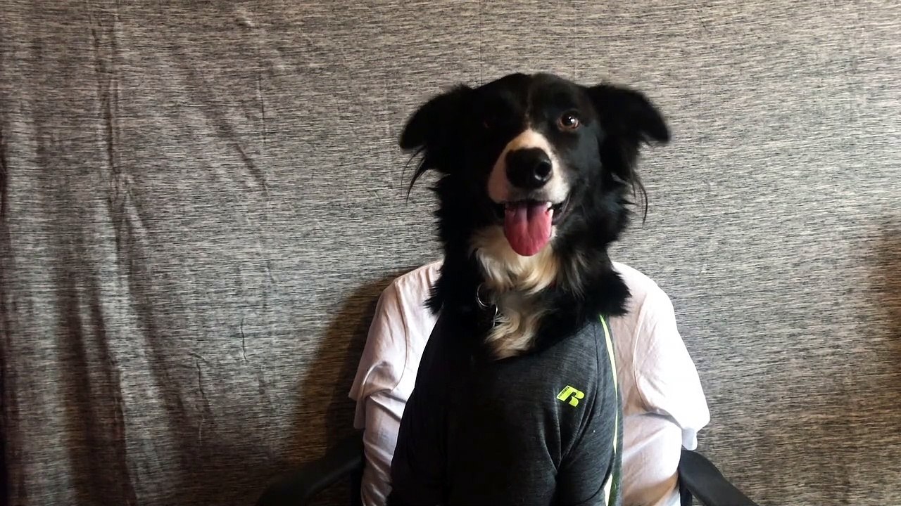 Toby's Journey | A Talking Dog???