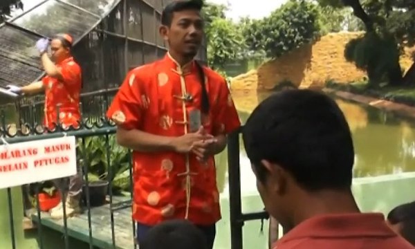 Libur Imlek, Kebun Binatang Surabaya Bernuansa Tionghoa
