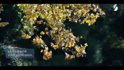 ( ENG SUB ) SKAM FRANCE S3EP01 - CLIP 1