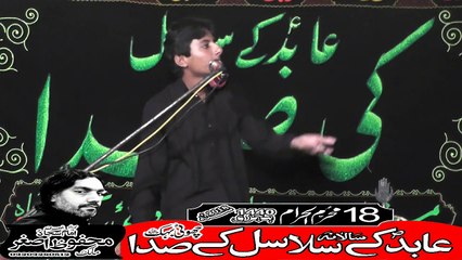 Zakir Hasnain Abbas Mudrisa Chatha 18th Muhram 1440(2018) Choti Behak Hafizabad