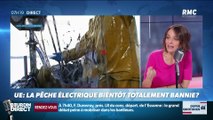 Dupin Quotidien : UE, la pêche électrique bientôt totalement bannie ? - 04/02