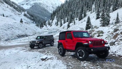 FCA Replay February 1, 2019