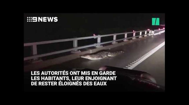 En Australie, des crocodiles s'invitent dans les rues inondées