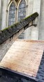 Chantier de rénovation des toitures du bas-côté nord de la cathédrale de Toul