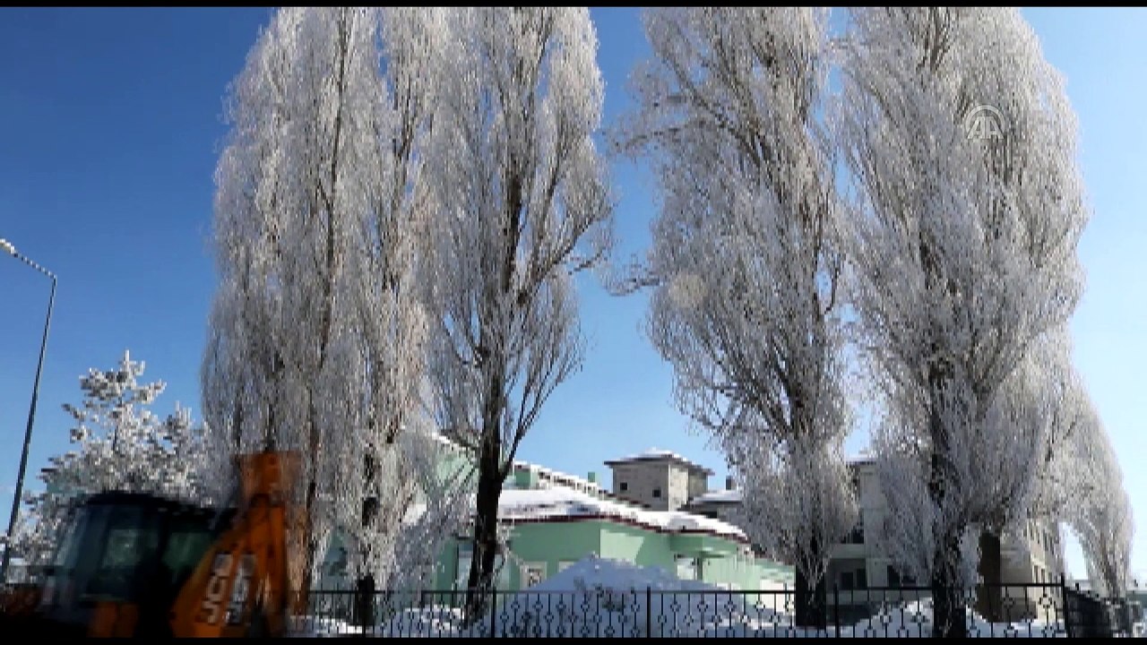 Ardahan'da soğuk hava