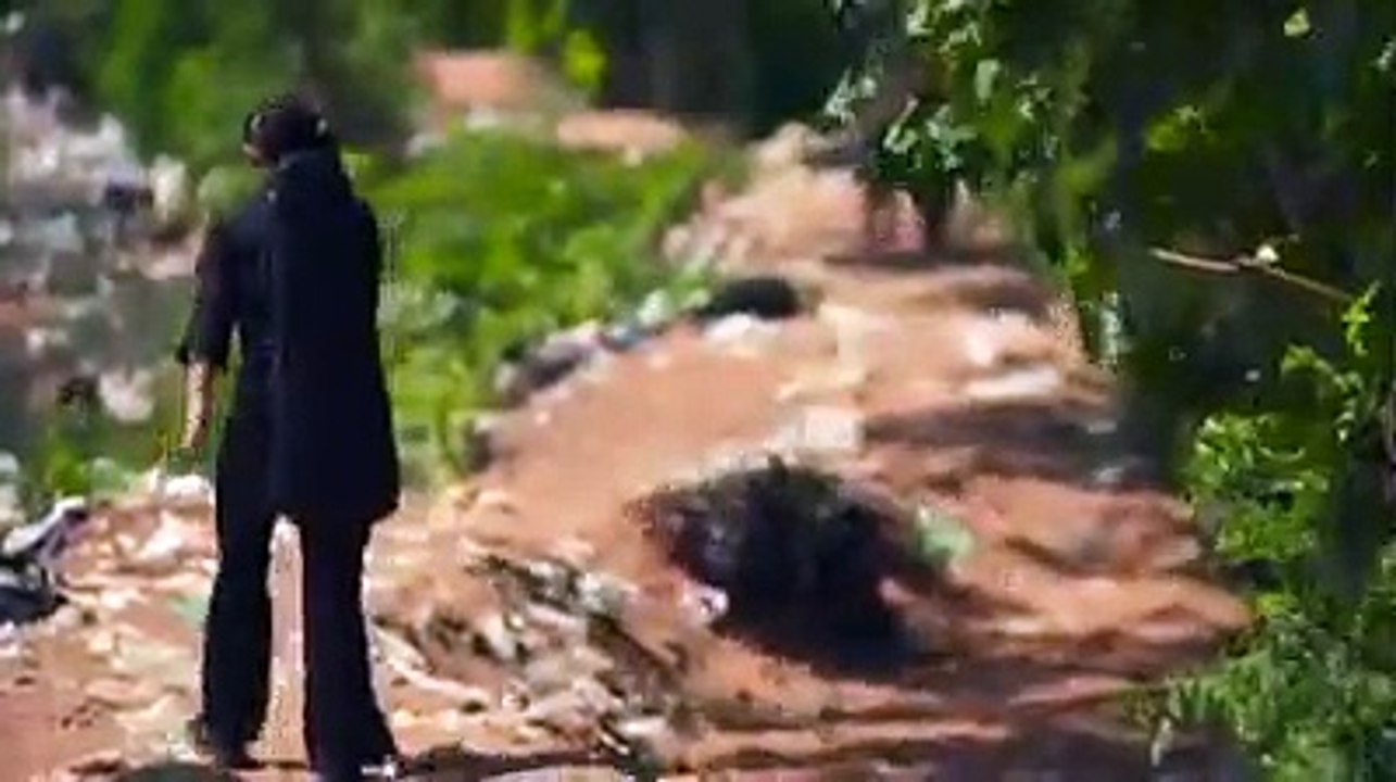 Favela sobre um aterro | Fruto da Exclusão Social