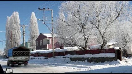 Ardahan'da Soğuk Hava