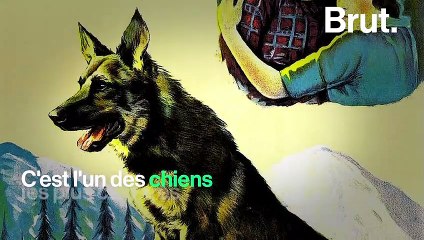 Une vie : Rintintin