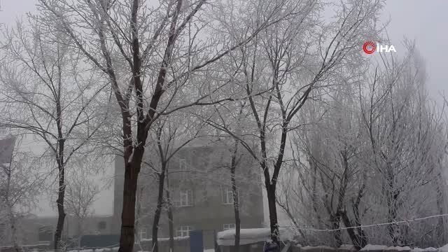 Ağrı'da Yoğun Sis Nedeniyle Uçak Seferleri İptal Edildi