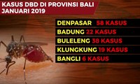 Waspada, Kasus Demam Berdarah di Bali Meningkat