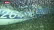 Un corps trouvé dans l'épave de l'avion transportant le footballeur Emiliano Sala