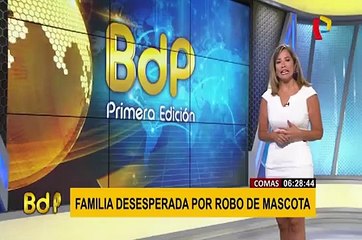 La Victoria: capturan a banda dedicada a la extorsión de empresarios