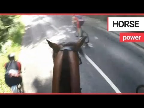 Cyclist lands himself hefty fine after high-speed collision while undertaking horse | SWNS TV