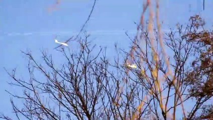 Planet X Nibiru tsunami earthquakes February 2019