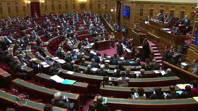QAG - Sophie Primas : Vous auriez du écouter le Sénat sur la loi de finances 2019