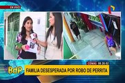 Denuncian mafia dedicada al robo de mascotas en Comas