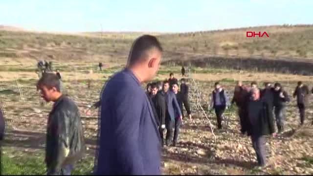 Şanlıurfa Yüksek Gerilim Hattında Akıma Kapılan İşçi Öldü