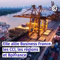 Qu'est-ce que la Team France Export ?