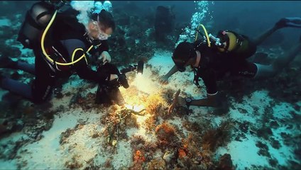 Les secrets de la mer Bande-Annonce